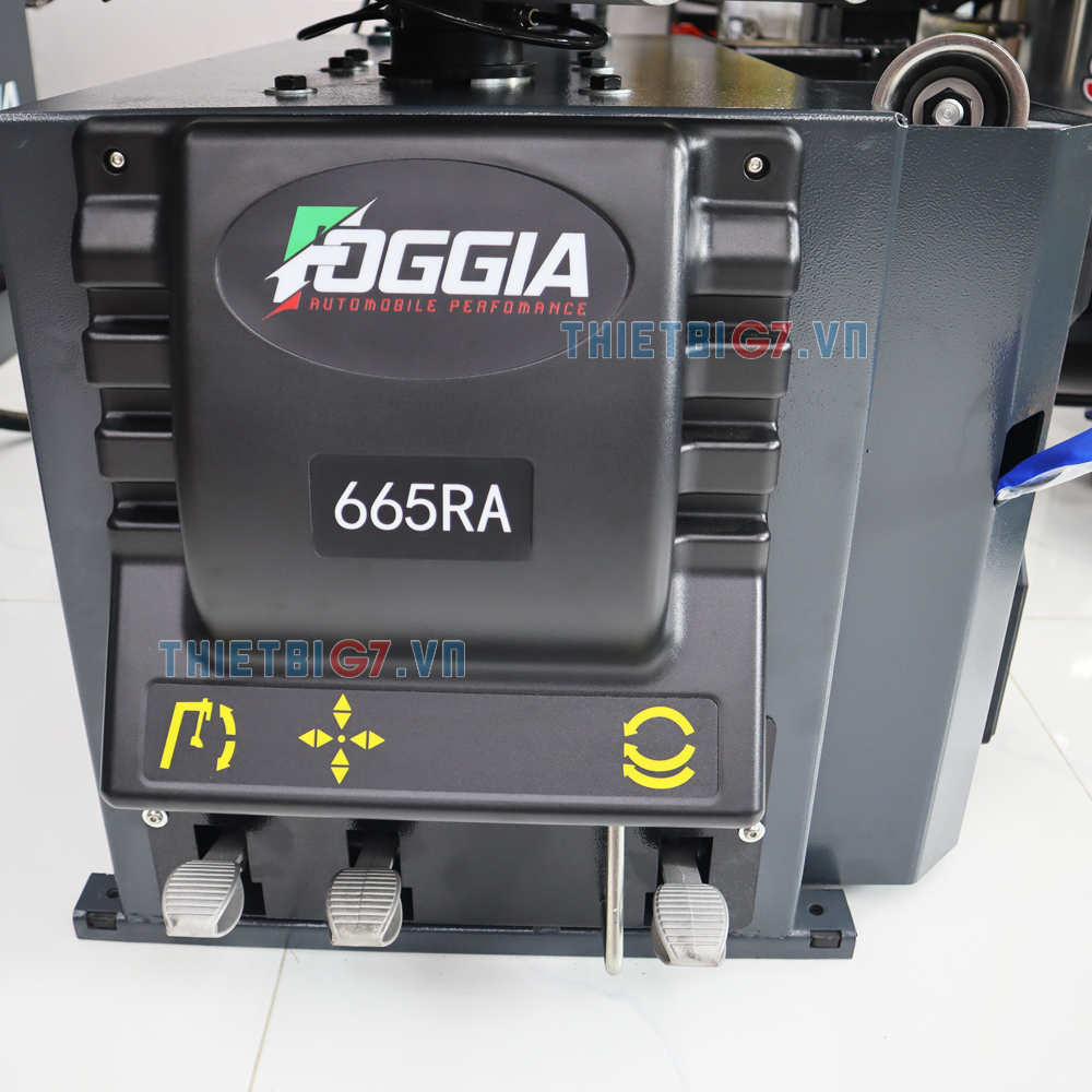 may-thao-vo-can-gat-gu-foggia-665ra-ket-hop-can-phu_11