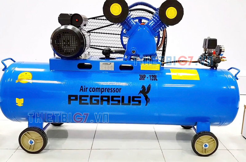 Máy bơm hơi PEGASUS TM-V-0.25/8-120