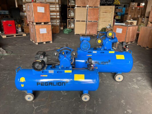 Máy Nén Khí Pegalion