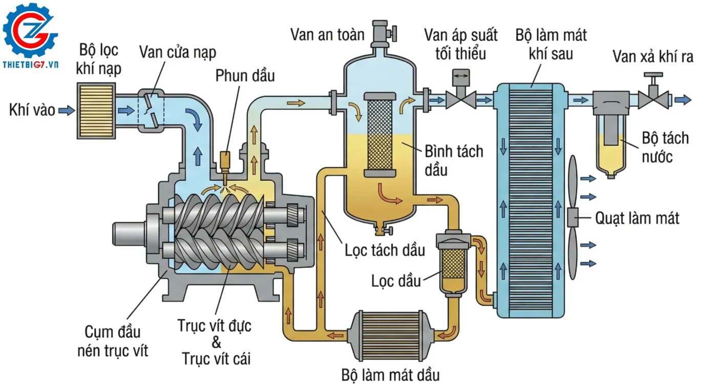 Sơ đồ nguyên lý máy nén khí trục vít