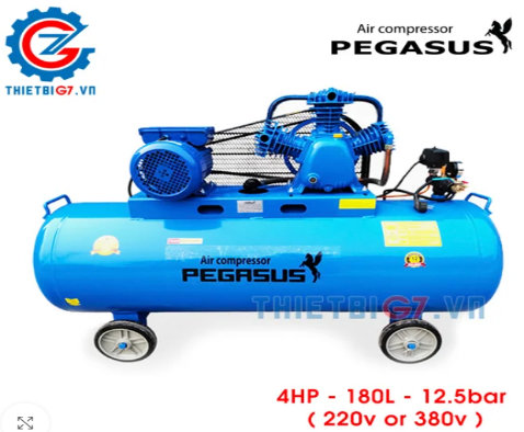 Máy nén khí Pegasus 180L